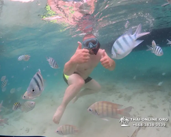 Underwater Odyssey snorkeling excursion in Pattaya Thailand photo 249