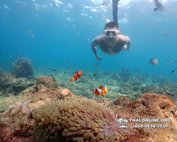 Underwater Odyssey snorkeling excursion Pattaya Thailand photo 11453