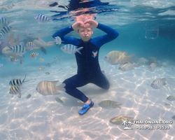 Underwater Odyssey snorkeling excursion in Pattaya Thailand photo 966