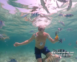 Underwater Odyssey snorkeling tour from Pattaya Thailand photo 18396