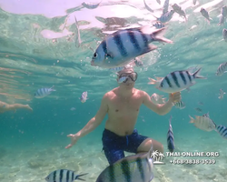 Underwater Odyssey snorkeling tour from Pattaya Thailand photo 18423