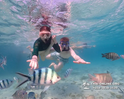 Underwater Odyssey snorkeling excursion Pattaya Thailand photo 11105