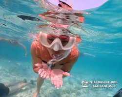 Underwater Odyssey snorkeling excursion Pattaya Thailand photo 10964