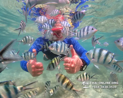 Underwater Odyssey snorkeling excursion Pattaya Thailand photo 14722