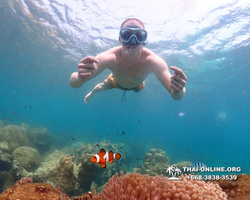 Underwater Odyssey snorkeling tour from Pattaya Thailand photo 14388