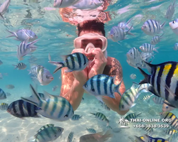 Underwater Odyssey snorkeling excursion Pattaya Thailand photo 11278