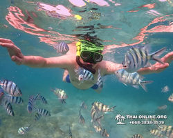 Underwater Odyssey snorkeling excursion Pattaya Thailand photo 11582