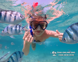 Underwater Odyssey snorkeling excursion Pattaya Thailand photo 11019