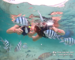 Underwater Odyssey snorkeling excursion in Pattaya Thailand photo 221