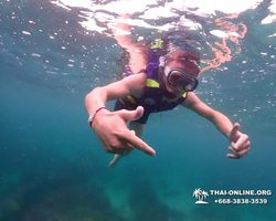 Underwater Odyssey snorkeling excursion in Pattaya Thailand photo 156