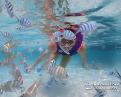 Underwater Odyssey snorkeling excursion in Pattaya Thailand photo 882