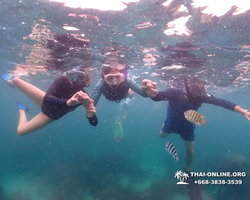 Underwater Odyssey snorkeling excursion in Pattaya Thailand photo 13