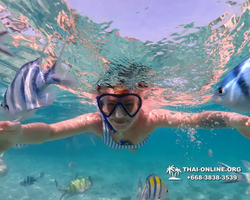 Underwater Odyssey snorkeling excursion Pattaya Thailand photo 11013