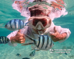 Underwater Odyssey snorkeling tour from Pattaya Thailand photo 14260
