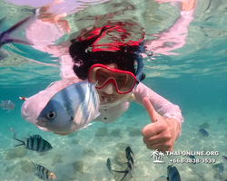 Underwater Odyssey snorkeling tour from Pattaya Thailand photo 14304