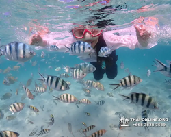 Underwater Odyssey snorkeling excursion in Pattaya Thailand photo 393