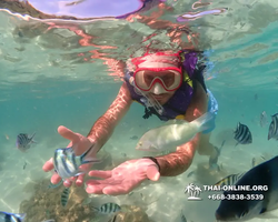 Underwater Odyssey snorkeling excursion Pattaya Thailand photo 19323