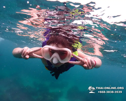 Underwater Odyssey snorkeling excursion in Pattaya Thailand photo 4