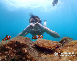 Underwater Odyssey snorkeling excursion in Pattaya Thailand photo 729