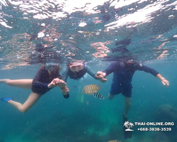 Underwater Odyssey snorkeling excursion in Pattaya Thailand photo 2