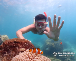 Underwater Odyssey snorkeling excursion in Pattaya Thailand photo 488