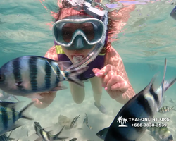 Underwater Odyssey snorkeling excursion Pattaya Thailand photo 19290