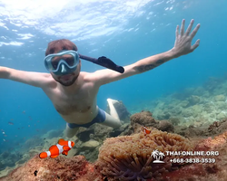 Underwater Odyssey snorkeling excursion Pattaya Thailand photo 11340