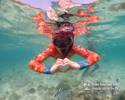 Underwater Odyssey snorkeling excursion Pattaya Thailand photo 14882