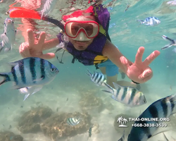 Underwater Odyssey snorkeling excursion Pattaya Thailand photo 19283