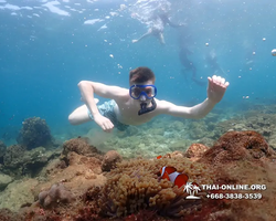 Underwater Odyssey snorkeling excursion Pattaya Thailand photo 11331