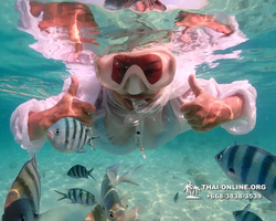 Underwater Odyssey snorkeling tour from Pattaya Thailand photo 14179