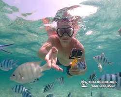 Underwater Odyssey snorkeling tour from Pattaya Thailand photo 18280