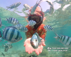 Underwater Odyssey snorkeling excursion Pattaya Thailand photo 14818