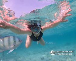 Underwater Odyssey snorkeling excursion Pattaya Thailand photo 11030