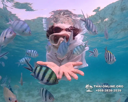 Underwater Odyssey snorkeling excursion Pattaya Thailand photo 11157