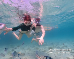 Underwater Odyssey snorkeling excursion Pattaya Thailand photo 11107