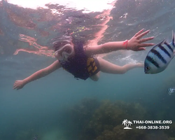 Underwater Odyssey snorkeling excursion in Pattaya Thailand photo 265