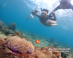 Underwater Odyssey snorkeling excursion Pattaya Thailand photo 11358
