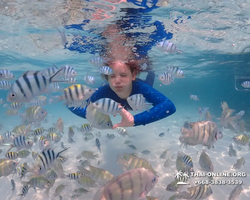 Underwater Odyssey snorkeling excursion in Pattaya Thailand photo 608