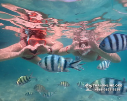 Underwater Odyssey snorkeling tour from Pattaya Thailand photo 14293