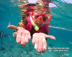 Underwater Odyssey snorkeling excursion Pattaya Thailand photo 11560