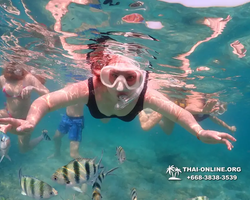 Underwater Odyssey snorkeling excursion Pattaya Thailand photo 11585