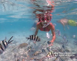 Underwater Odyssey snorkeling excursion in Pattaya Thailand photo 525