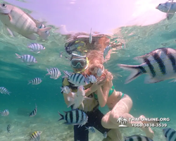 Underwater Odyssey snorkeling tour from Pattaya Thailand photo 18431