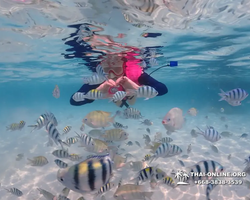 Underwater Odyssey snorkeling excursion in Pattaya Thailand photo 880