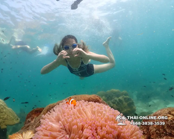 Underwater Odyssey snorkeling tour from Pattaya Thailand photo 18276