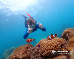 Underwater Odyssey snorkeling excursion in Pattaya Thailand photo 815