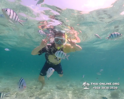 Underwater Odyssey snorkeling tour from Pattaya Thailand photo 18762