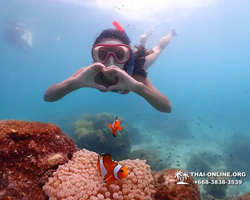 Underwater Odyssey snorkeling excursion in Pattaya Thailand photo 528