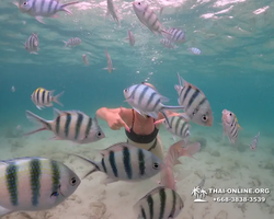 Underwater Odyssey snorkeling excursion in Pattaya Thailand photo 206